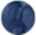 APSAL.png