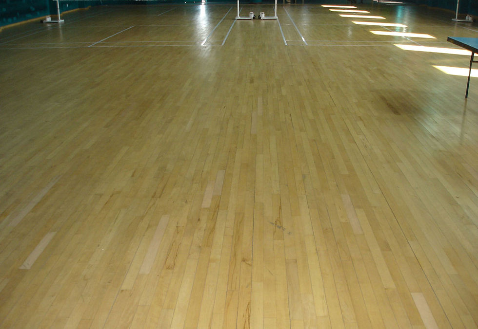 Sports India Badminton Court
