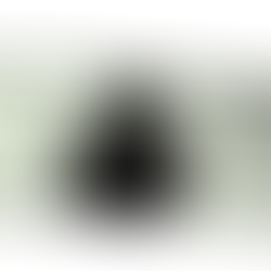 Kaye Money Abe Not Lincoln music video official visual Underising promotion