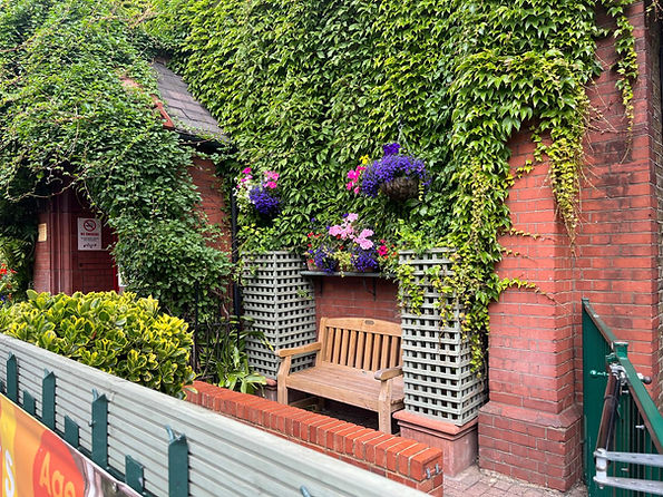 The front of the Trinity Centre covered in ivy. The door is open to welcome people in and there is a bench to the right of the door with hanging baskets overhead. The exterior looks colourful and welcoming.