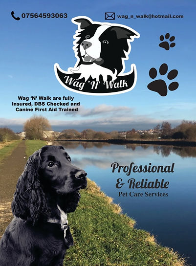 WAG WALK FLYER