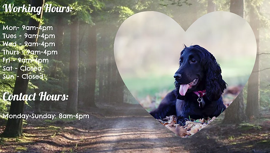 Wag Walk Website