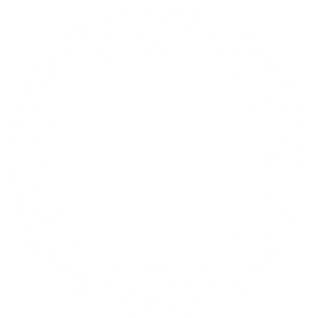 _l_lace43_01_s512_lace43_01_1.png