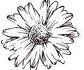 bitmap9.png