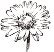 bitmap9.png