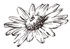 bitmap9.png