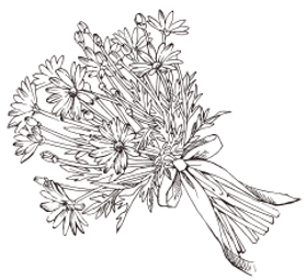 bitmap9.png