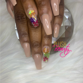 Plush Beauty & Co