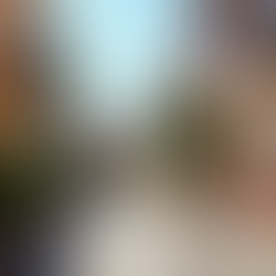 Charming American town retirees live