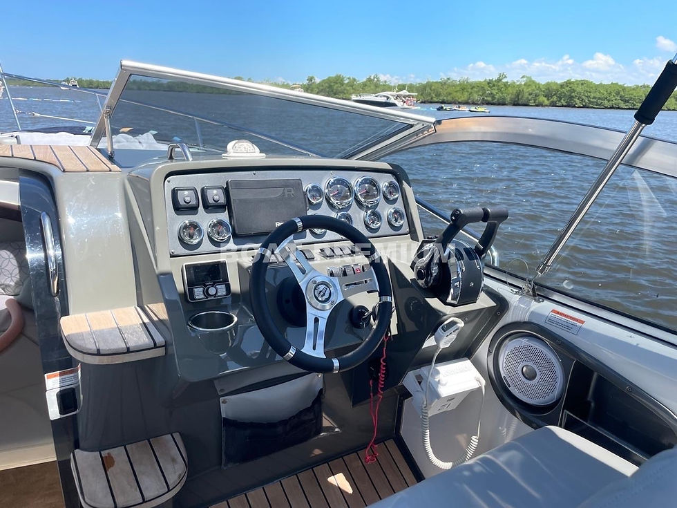 Miniatura: PHANTOM 303 - 2020