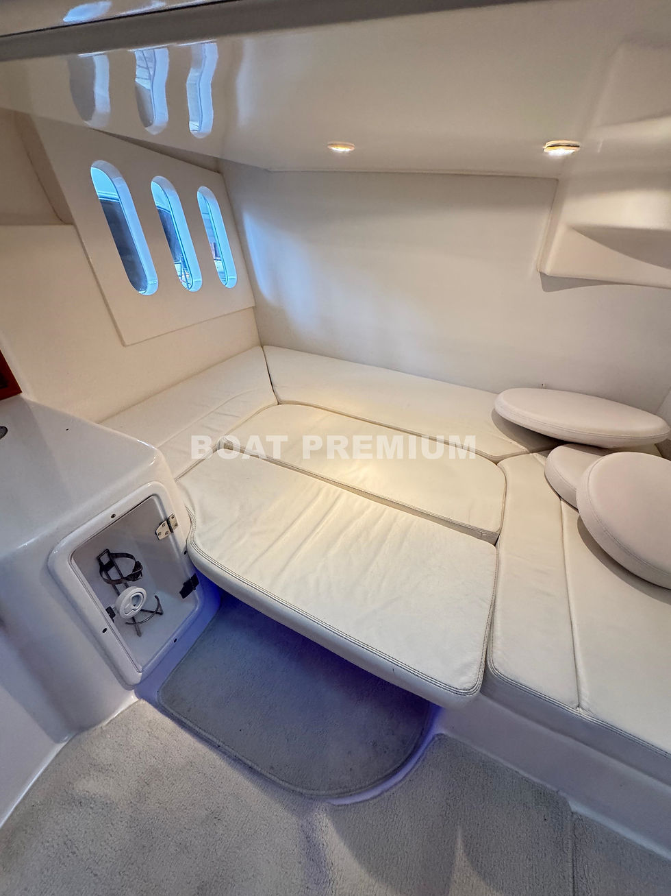 Miniatura: PHANTOM 36 - 2010