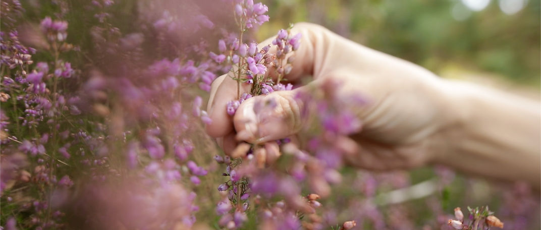 Capture d’écran 2020-08-04 à 15.29.23.jpeg