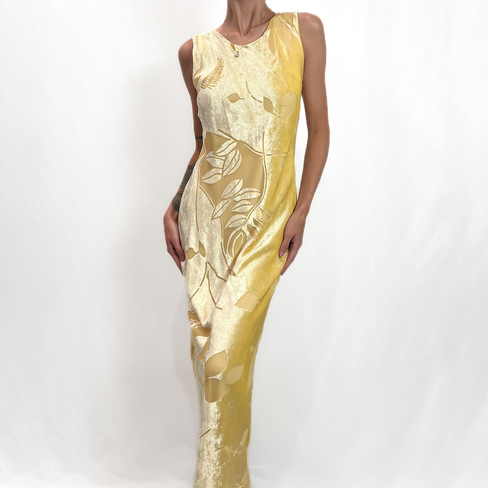 Canary Velvet Burnout Midi/Maxi Dress XS