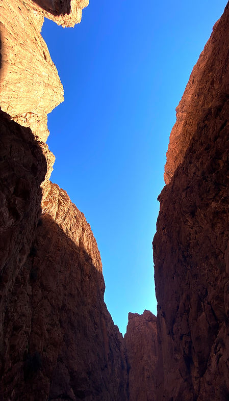 Looking Up I (Gorges du Todgha, MOROCCO - December, 2022) © Deniz Sak _ sml.jpg