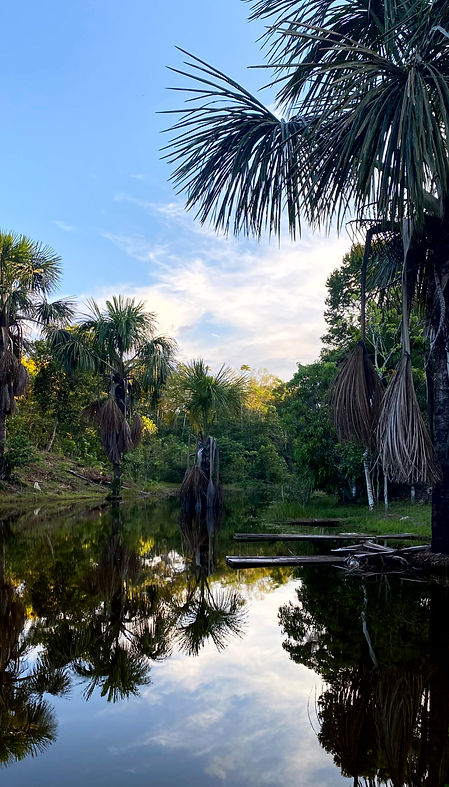Padre Cocha I (Iquitos, PERU - September, 2024) © Deniz Sak.jpg