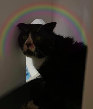 Bob.jpeg