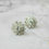 Thumbnail: Odika Stud Earrings