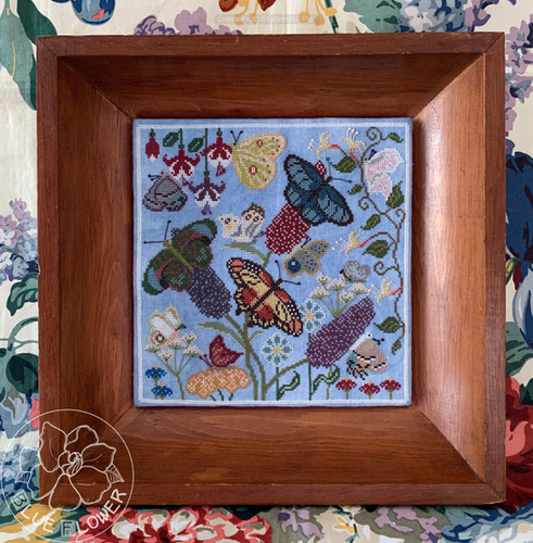 mayflowerページ Butterfly Garden | The Blue Flower
