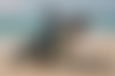 Sora: Revolutionizing Video Creation with AI—Past, Present, and Future