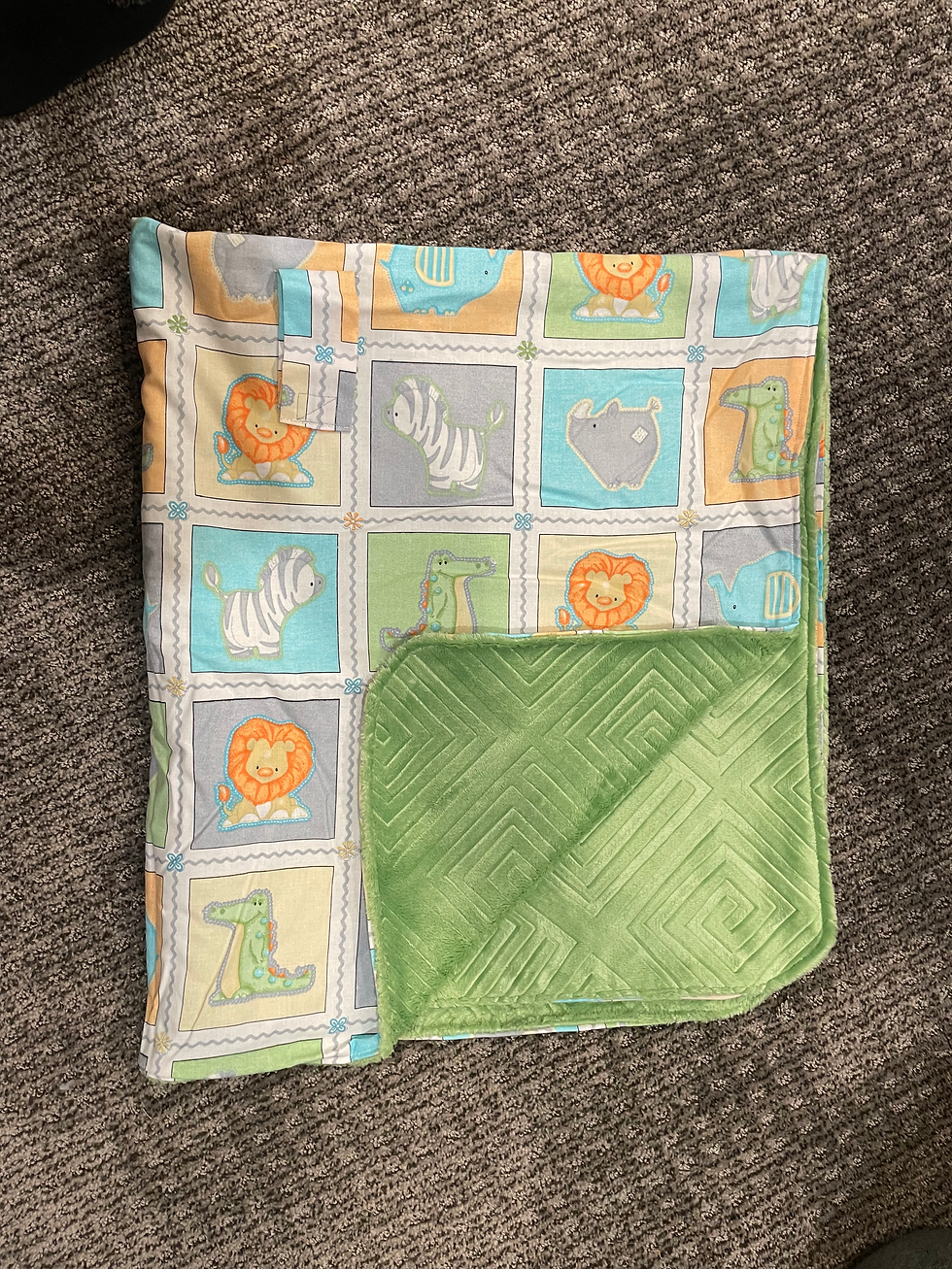 Thumbnail: Canopy Carseat Cover