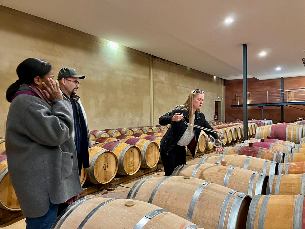 Miniatura: Medio día en Margaux y Médoc