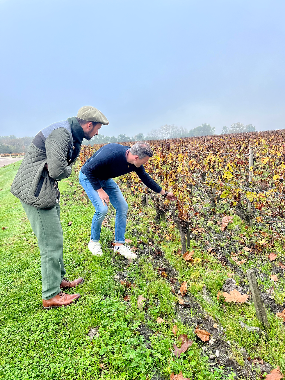 Miniatura: Medio día en Margaux y Médoc