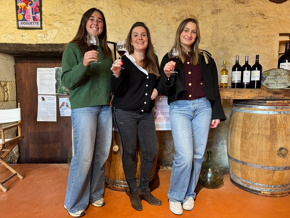 Miniatura: Medio día en Saint-Émilion y Pomerol