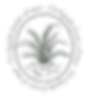 Screenshot 2024-10-29 at 7.11_edited.png