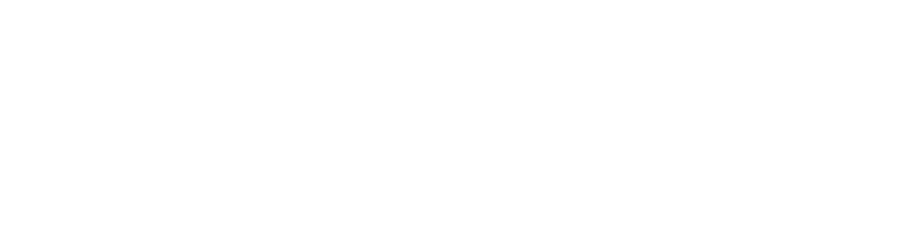 Logo Vervana.png