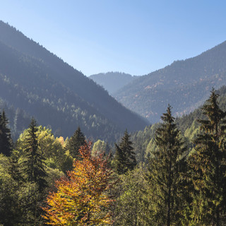 THE VILLAGES OF SLOCAN, SILVERTON AND NEW DENVER RECEIVE COMMUNITY WILDFIRE PROTECTION AWARD, 2021