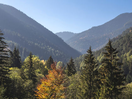 A Colorado Dream
