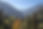 Trees and Mountains