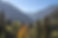 Trees and Mountains