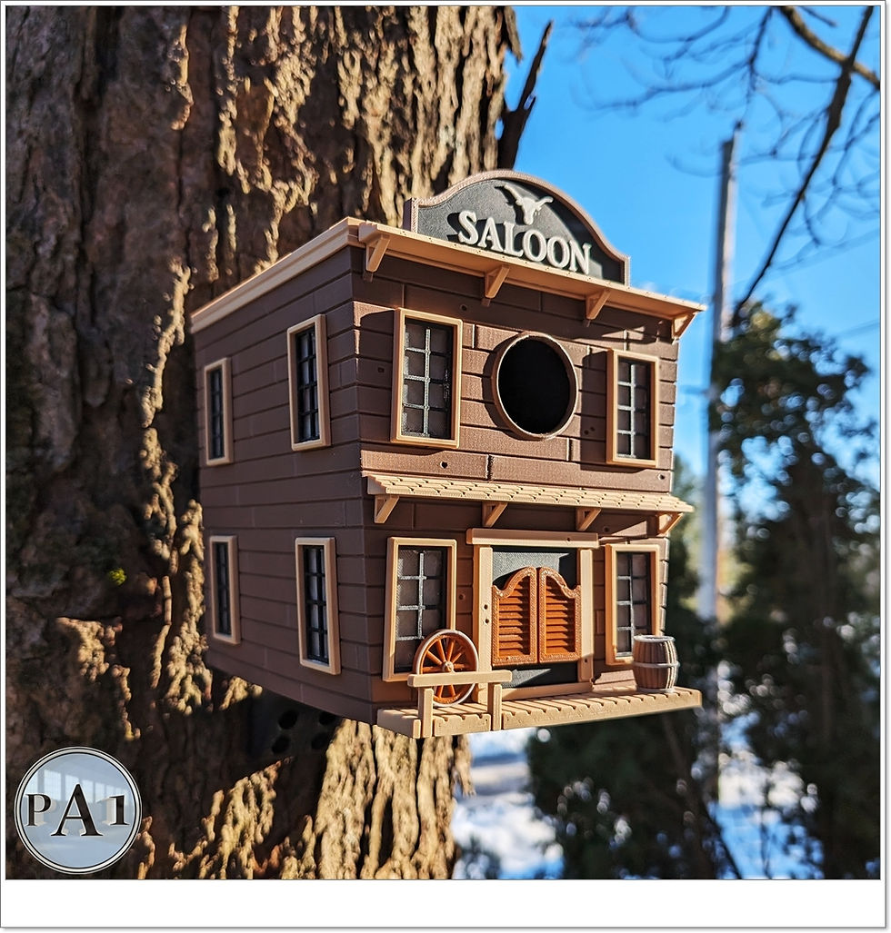 Thumbnail: Wild West Saloon Birdhouse