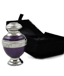 Azure-Violet_With-Box-247x296.jpeg