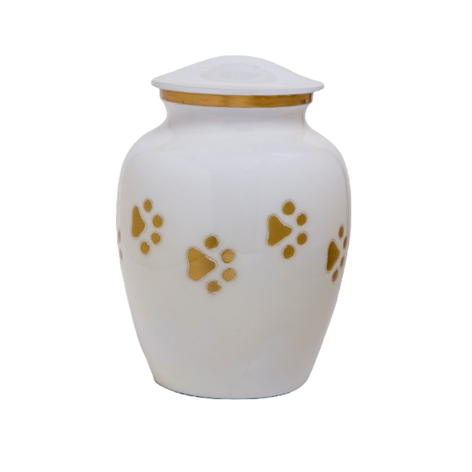 urn-ashes-pet-680x680.jpg
