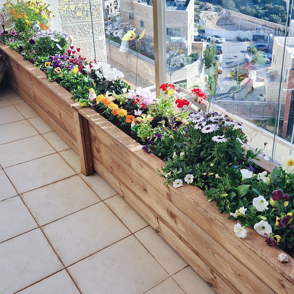Long planter