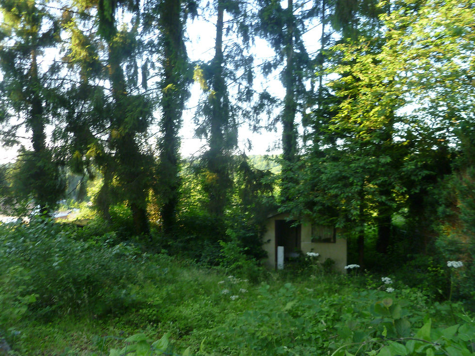 P1050140