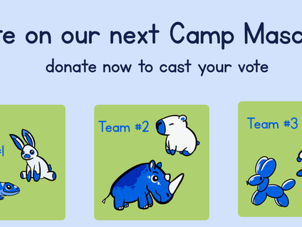 Help Us Decide! Vote On Our 2027 Camp Mascots NOW!!