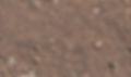 09-05-23-biz-card 3.jpg