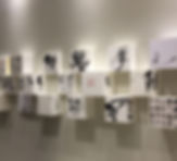 IMG_2033.jpeg