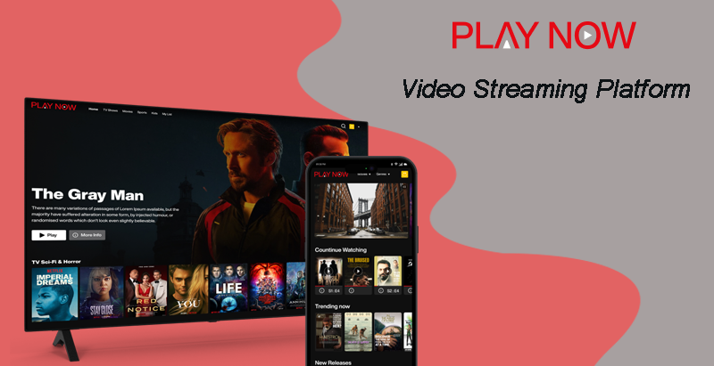 Everything You Need to Know About Video Streaming Scripts in 2025