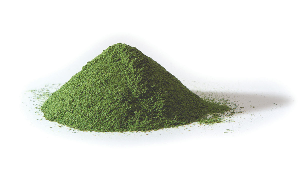Organic Moringa Oleifera Leaf Powder Capsules