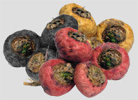 Thumbnail: Organic Maca Root Powder- Black and Red