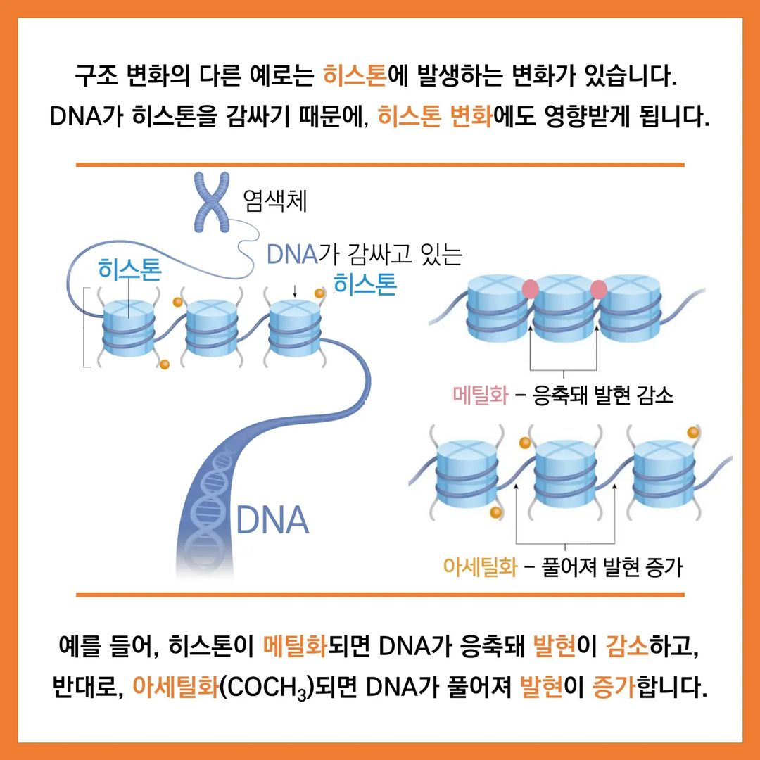[월간 글립 vol.33 2023년 3월호] 후성유전학(epigenetics)과 용불용설 : 라마르크의 부활