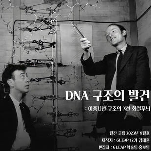 [월간 글립 2023년 9월호] DNA 구조의 발견: 이중나선 구조의 X선 회절무늬
