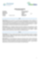 Mirza Karaca-converted2_Page_1.jpeg