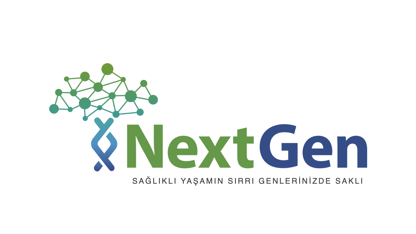 Yonetim Kadrosu Nextgen