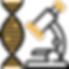 microscope (1).png