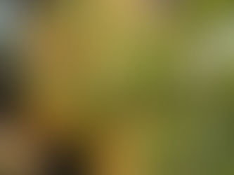 Responses and an Anatomy Theatre!